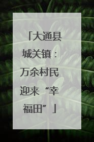 大通县城关镇：万余村民迎来“幸福田”