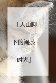 天山脚下的闽茶时光