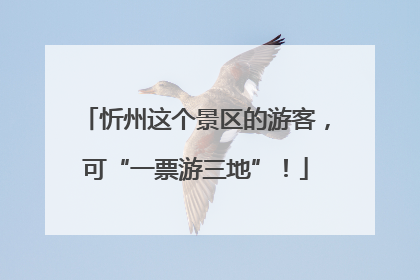 忻州这个景区的游客，可“一票游三地”！