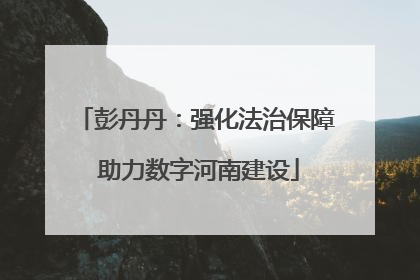彭丹丹：强化法治保障 助力数字河南建设