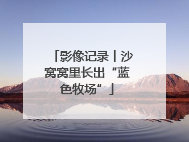 影像记录丨沙窝窝里长出“蓝色牧场”