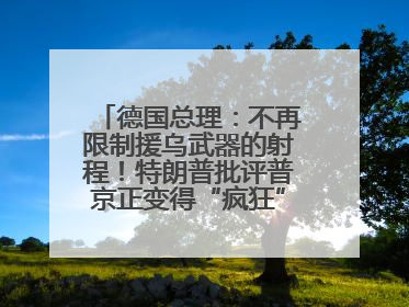 德国总理：不再限制援乌武器的射程！特朗普批评普京正变得“疯狂”，俄方最新回应