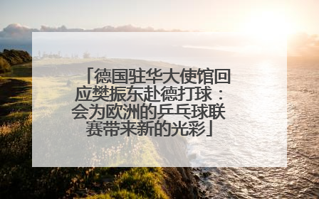 德国驻华大使馆回应樊振东赴德打球：会为欧洲的乒乓球联赛带来新的光彩
