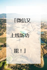 微信又上线新功能！