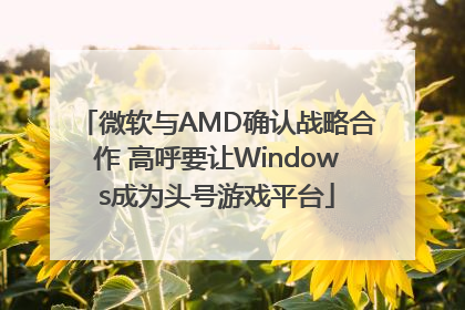 微软与AMD确认战略合作 高呼要让Windows成为头号游戏平台