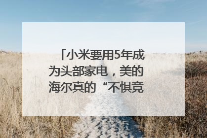 小米要用5年成为头部家电，美的海尔真的“不惧竞争”？｜热财经