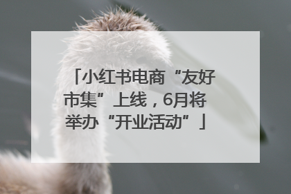 小红书电商“友好市集”上线，6月将举办“开业活动”