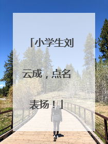 小学生刘云成，点名表扬！