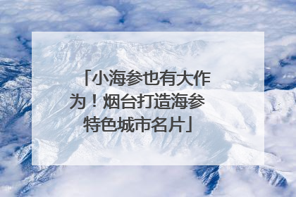 小海参也有大作为！烟台打造海参特色城市名片