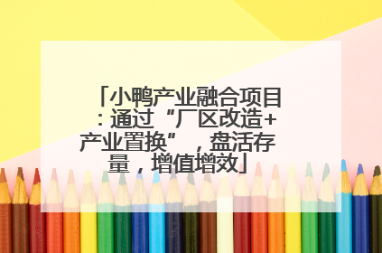 小鸭产业融合项目：通过“厂区改造+产业置换”，盘活存量，增值增效