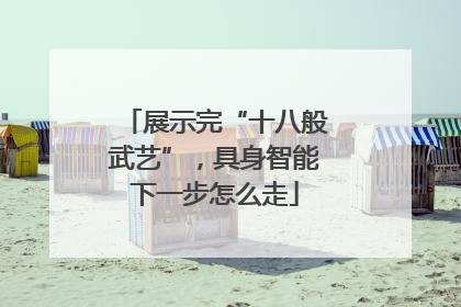 展示完“十八般武艺”，具身智能下一步怎么走