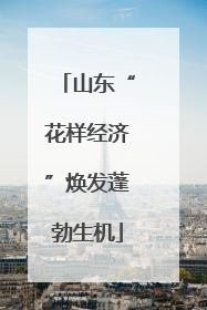 山东“花样经济”焕发蓬勃生机