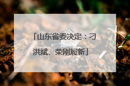 山东省委决定：刁洪斌、荣刚履新