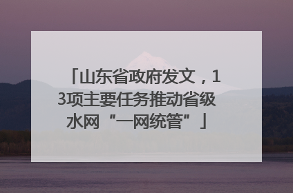 山东省政府发文，13项主要任务推动省级水网“一网统管”