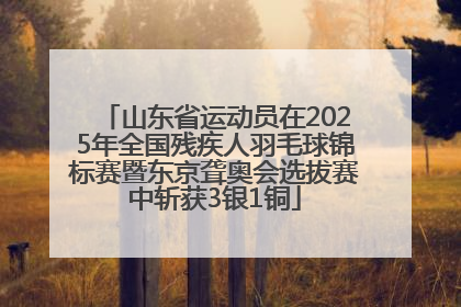 山东省运动员在2025年全国残疾人羽毛球锦标赛暨东京聋奥会选拔赛中斩获3银1铜