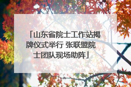 山东省院士工作站揭牌仪式举行 张联盟院士团队现场助阵