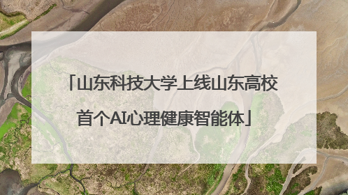 山东科技大学上线山东高校首个AI心理健康智能体