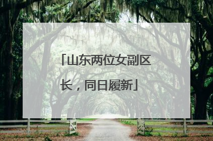 山东两位女副区长，同日履新