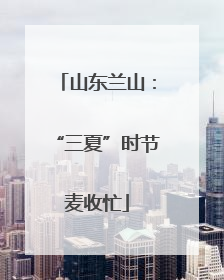 山东兰山：“三夏”时节麦收忙