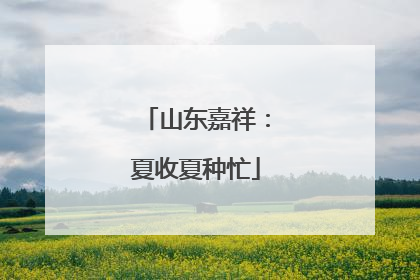 山东嘉祥：夏收夏种忙