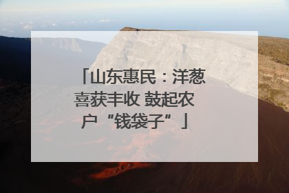 山东惠民：洋葱喜获丰收 鼓起农户“钱袋子”