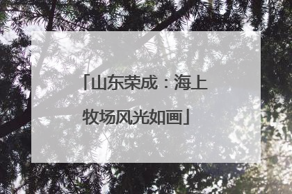 山东荣成：海上牧场风光如画