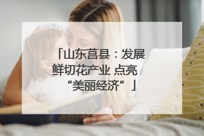山东莒县：发展鲜切花产业 点亮“美丽经济”