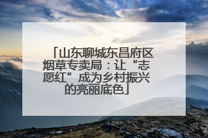 山东聊城东昌府区烟草专卖局：让“志愿红”成为乡村振兴的亮丽底色