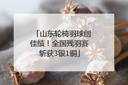 山东轮椅羽球创佳绩！全国残羽赛斩获3银1铜