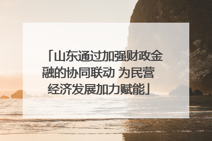 山东通过加强财政金融的协同联动 为民营经济发展加力赋能