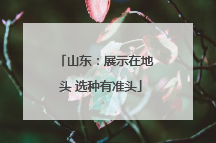 山东：展示在地头 选种有准头