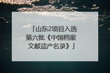山东2项目入选第六批《中国档案文献遗产名录》