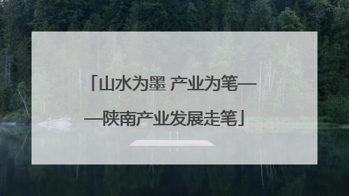 山水为墨 产业为笔——陕南产业发展走笔