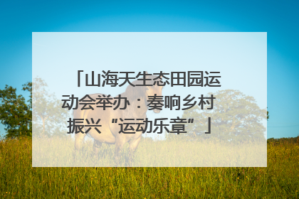 山海天生态田园运动会举办：奏响乡村振兴“运动乐章”