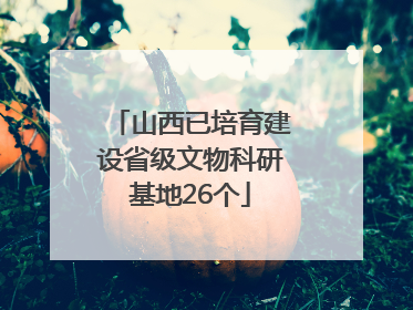 山西已培育建设省级文物科研基地26个