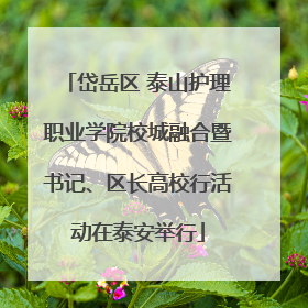 岱岳区 泰山护理职业学院校城融合暨书记、区长高校行活动在泰安举行