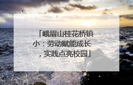 峨眉山桂花桥镇小：劳动赋能成长，实践点亮校园