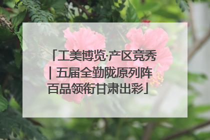 工美博览·产区竞秀｜五届全勤陇原列阵 百品领衔甘肃出彩