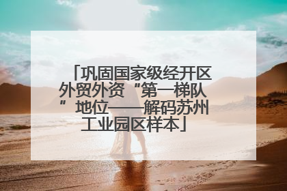 巩固国家级经开区外贸外资“第一梯队”地位——解码苏州工业园区样本