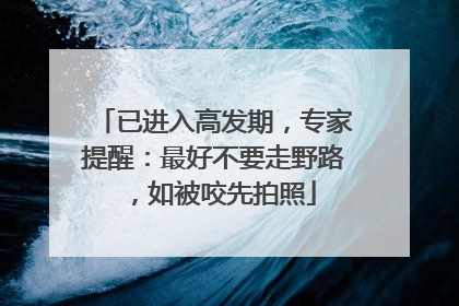 已进入高发期，专家提醒：最好不要走野路，如被咬先拍照