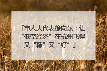 市人大代表徐向东：让“低空经济”在杭州飞得又“稳”又“好”