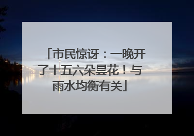 市民惊讶：一晚开了十五六朵昙花！与雨水均衡有关