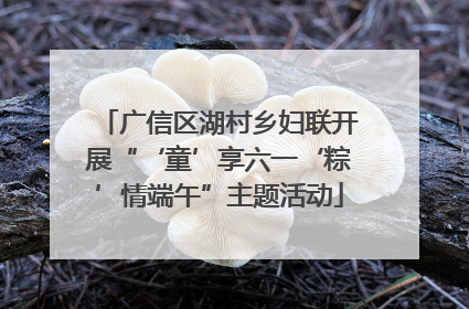 广信区湖村乡妇联开展“‘童’享六一‘粽’情端午”主题活动