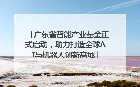 广东省智能产业基金正式启动，助力打造全球AI与机器人创新高地