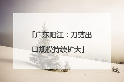 广东阳江：刀剪出口规模持续扩大