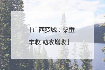 广西罗城：桑蚕丰收 助农增收