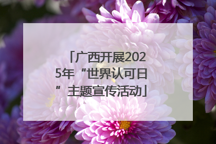 广西开展2025年“世界认可日”主题宣传活动