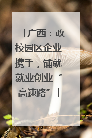 广西：政校园区企业携手，铺就就业创业“高速路”