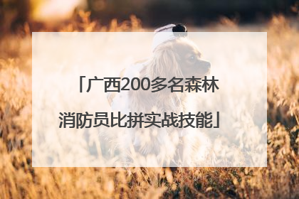 广西200多名森林消防员比拼实战技能