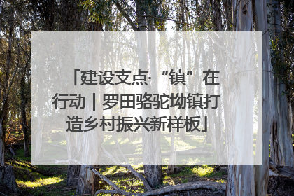 建设支点·“镇”在行动｜罗田骆驼坳镇打造乡村振兴新样板